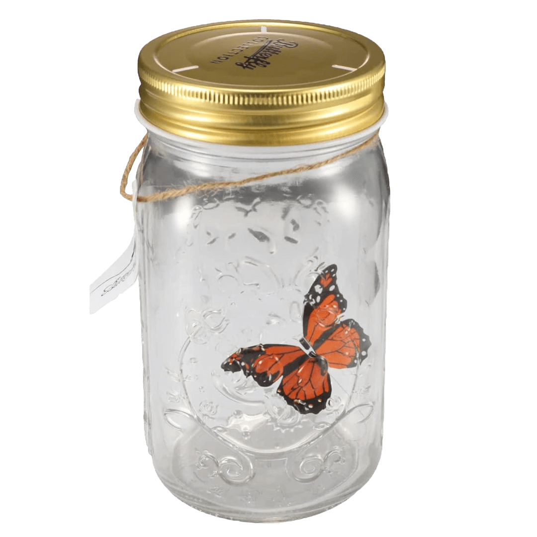 The Original Butterfly In A Jar