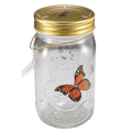 The Original Butterfly In A Jar