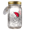 The Original Butterfly In A Jar