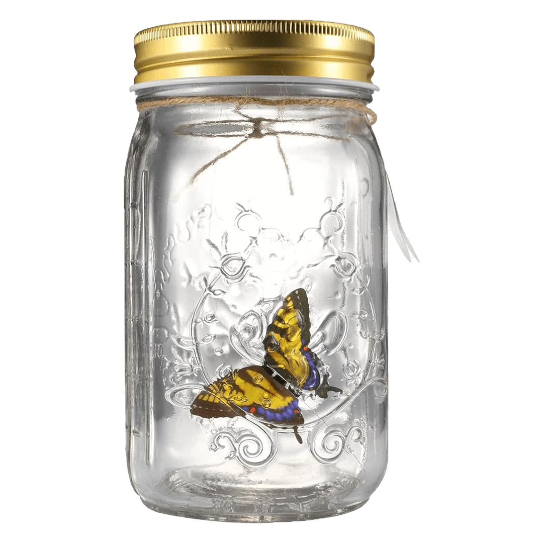 The Original Butterfly In A Jar