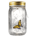 The Original Butterfly In A Jar